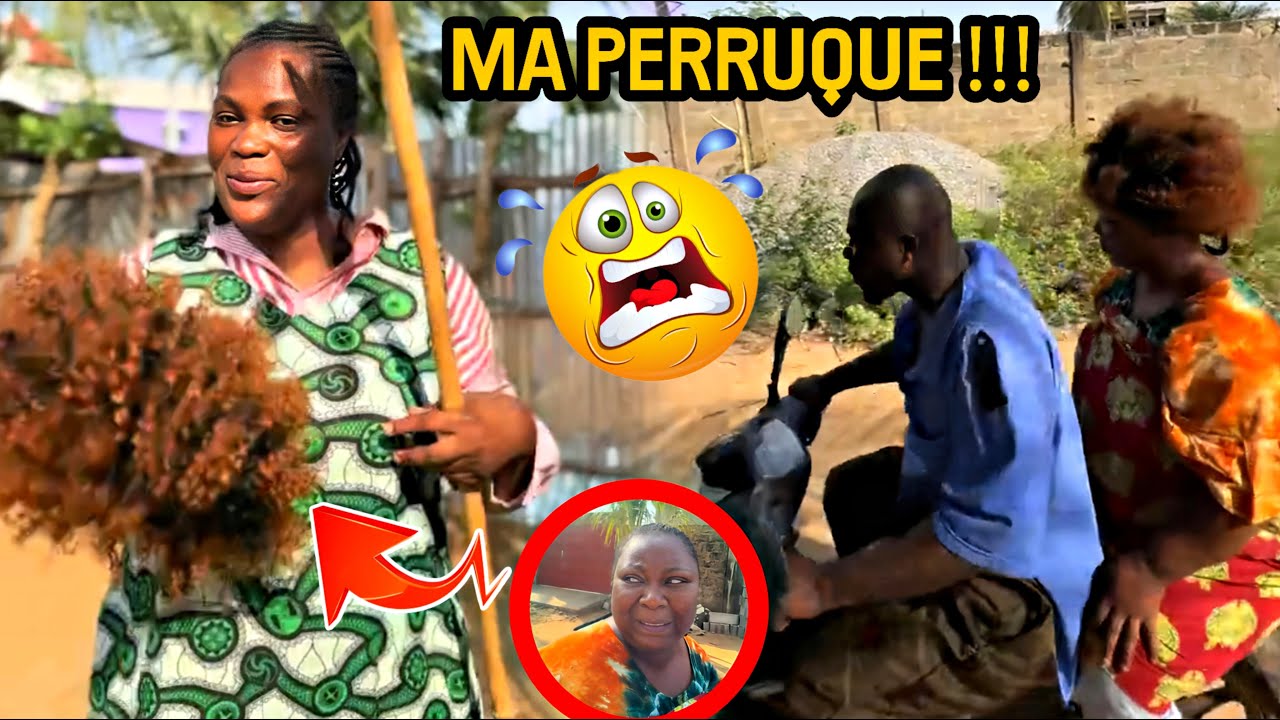 TOVIA, JOJO L’OFFICIER, NORAH & SAM : MA PERRUQUE ! 🤣  NOUVELLE VIDÉO TRÈS FUN