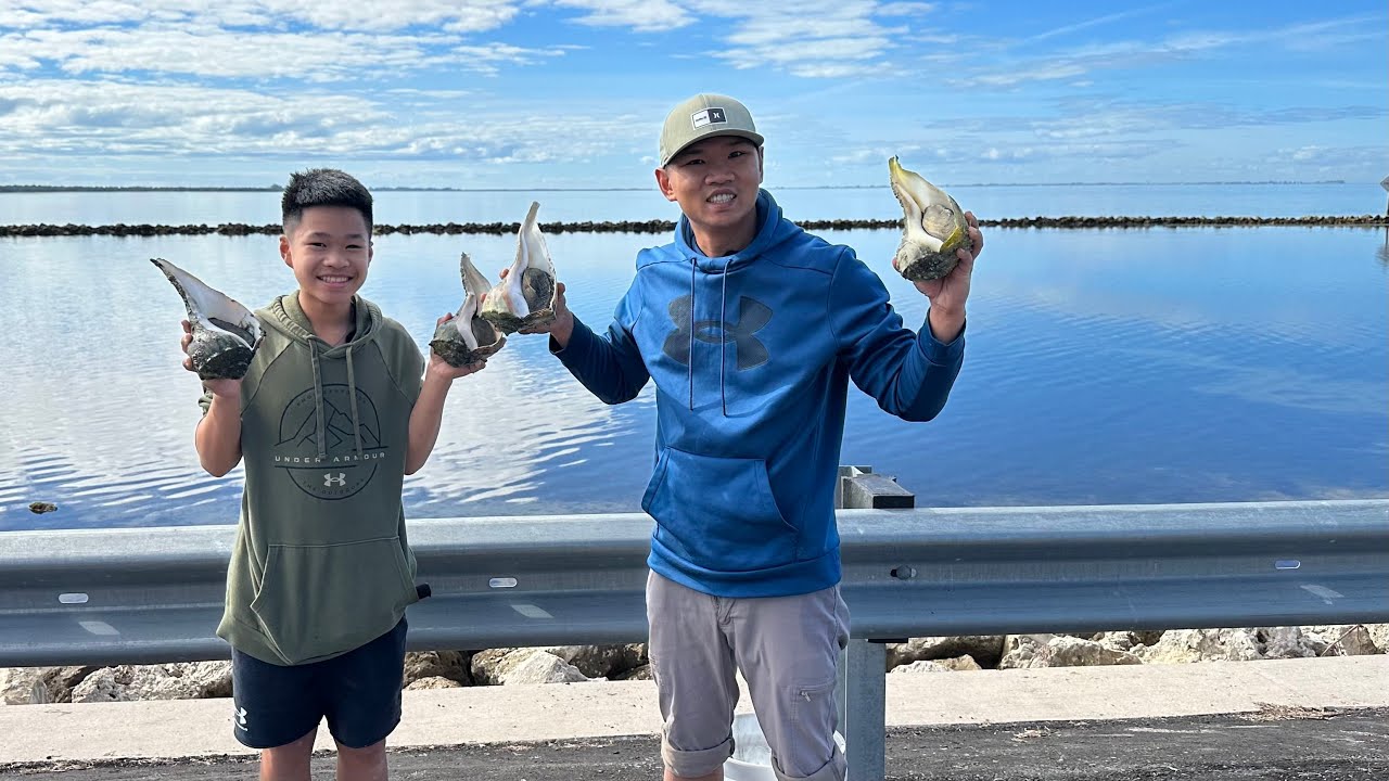 Bắt ốc siêu to ở Florida, Mỹ!!