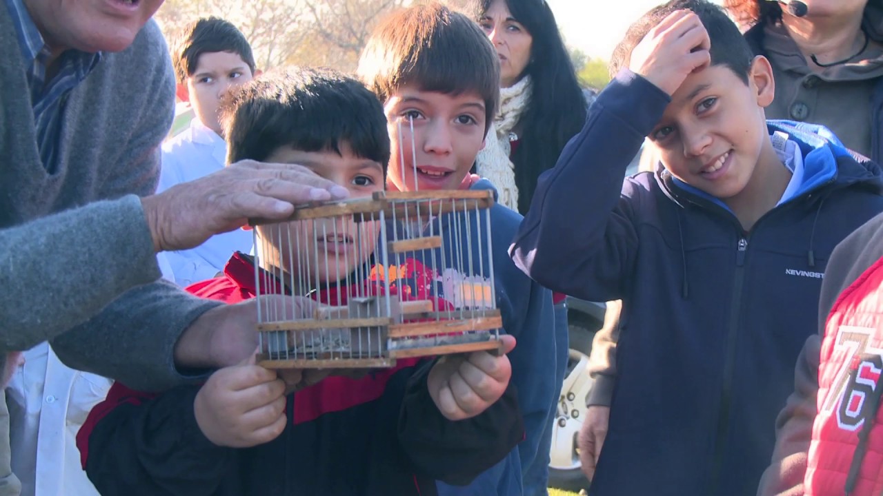 Prevenir TV - Delitos Ambientales libera aves