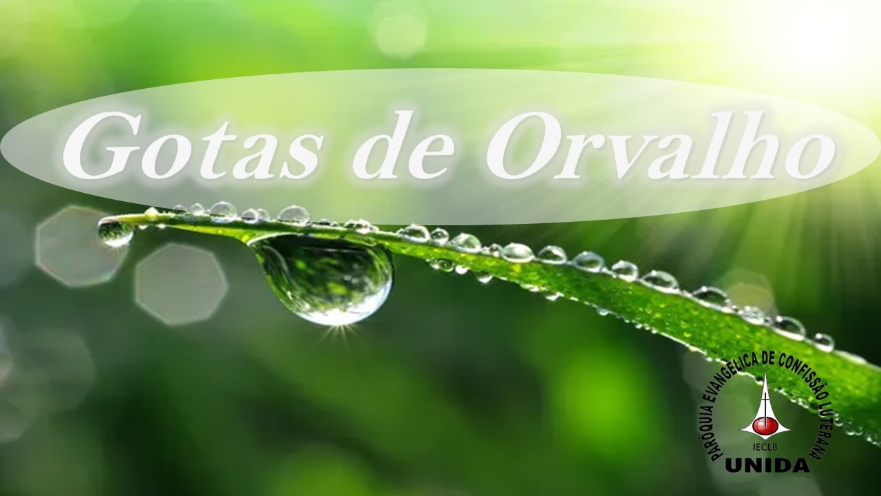 Gotas de Orvalho - 09 de Fevereiro de 2026 - MEDITAÇÕES DIÁRIAS