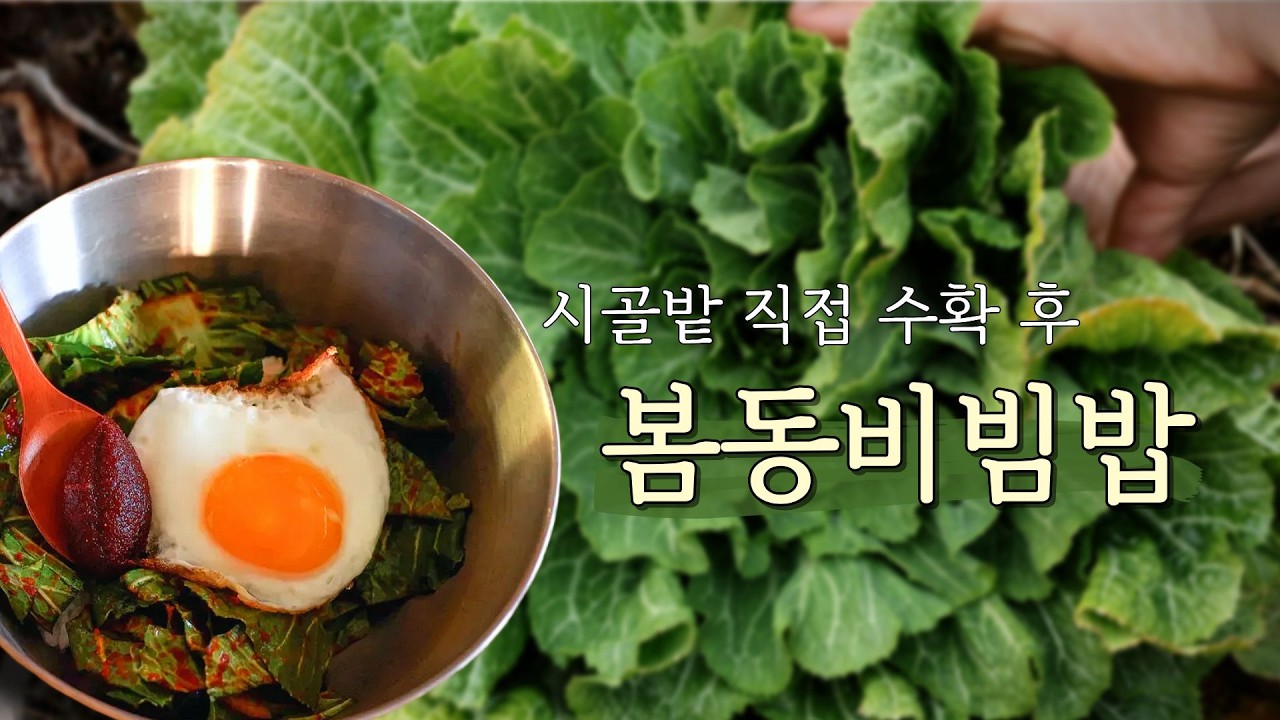 🥬봄동비빔밥 | 구례에서 리틀포레스트 시골생활