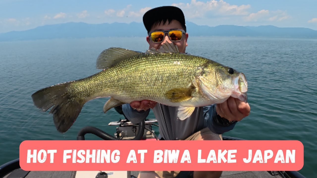 BIG BASS! HOT FISHING HOT WEATHER AT BIWA LAKE JAPAN!