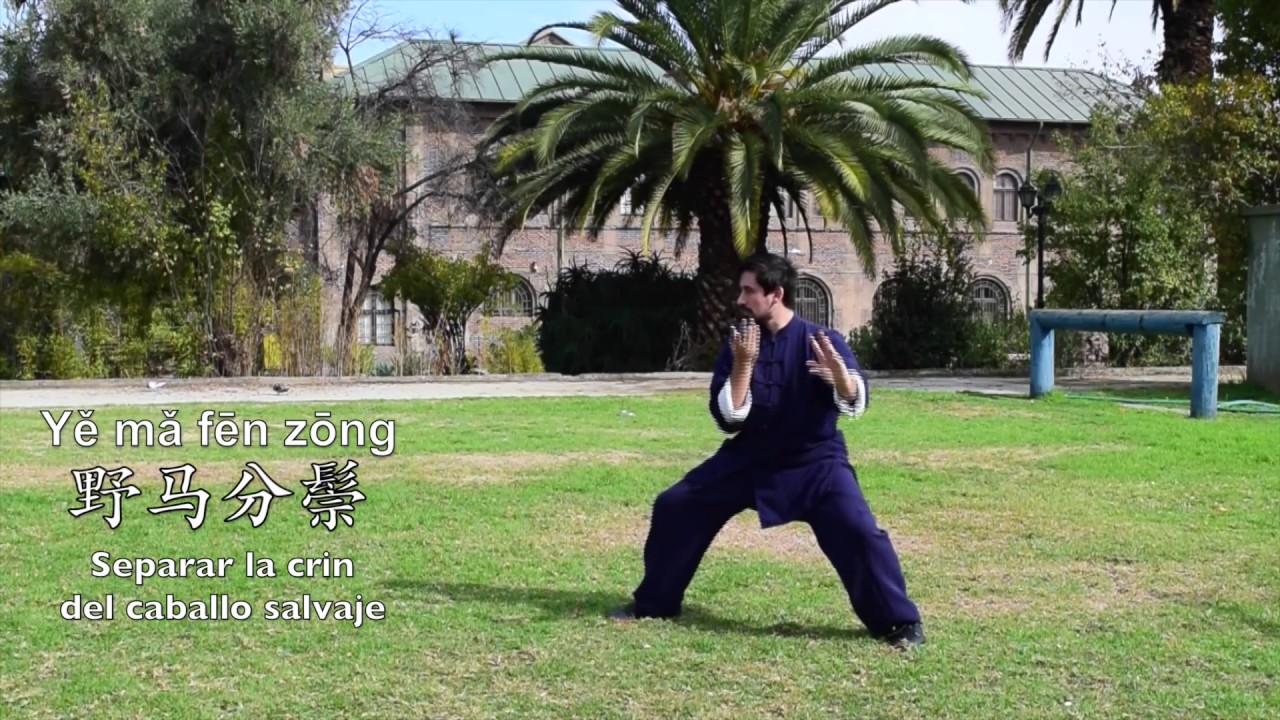 Hong Junsheng Taiji Quan forma 24 洪式太极拳二十四式