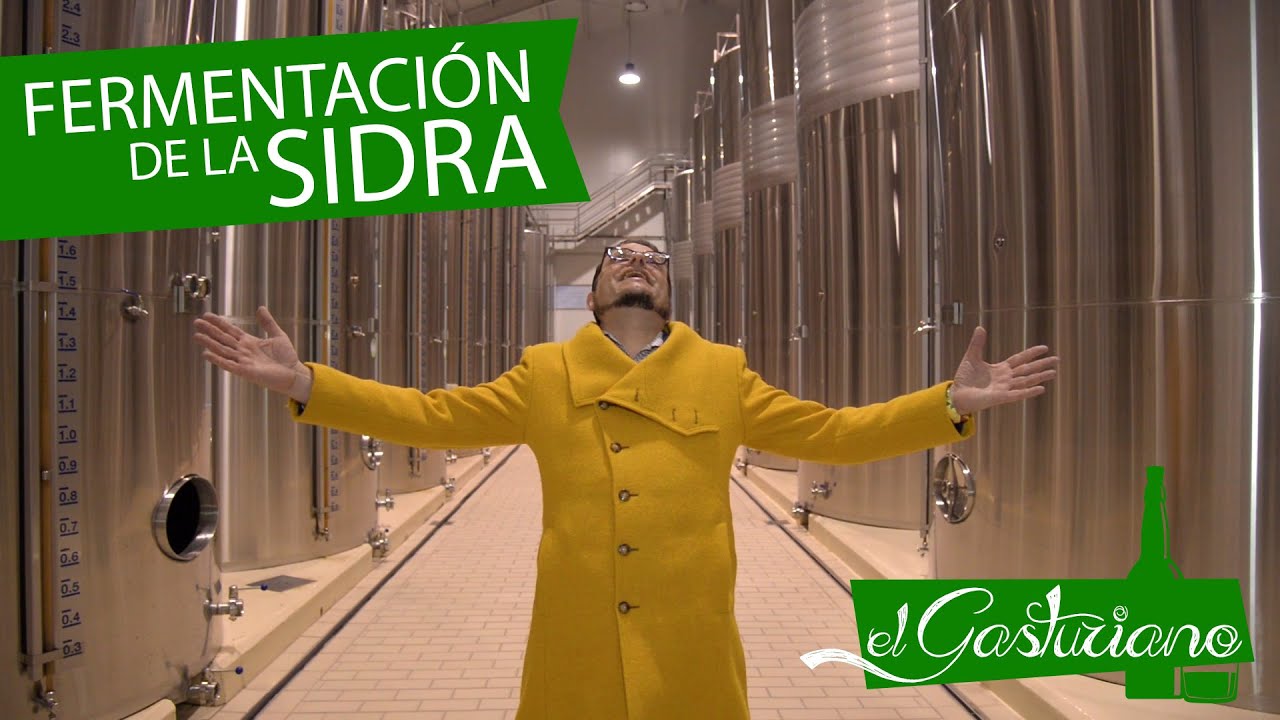 Fermentación sidra.  ¿Cómo se hace la sidra asturiana?.  Sidrería La Pumarada Gascona.