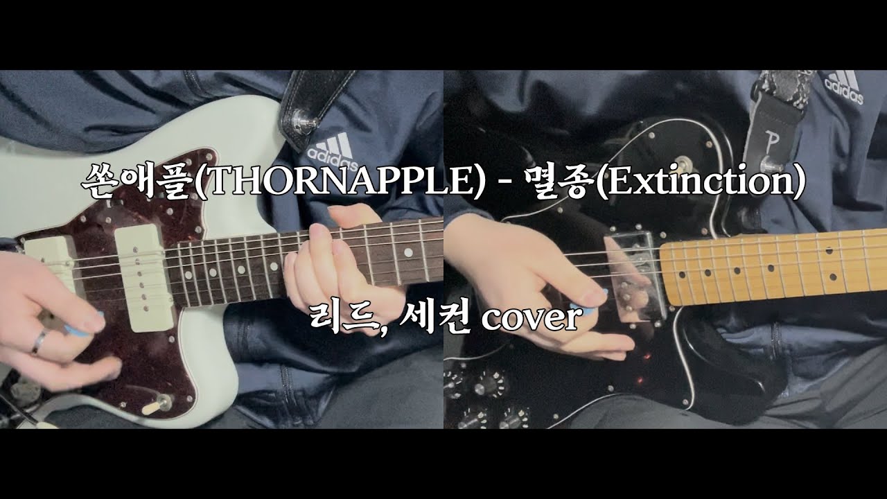 쏜애플(THORNAPPLE) - 멸종(Extinction) 리드, 세컨 기타 cover