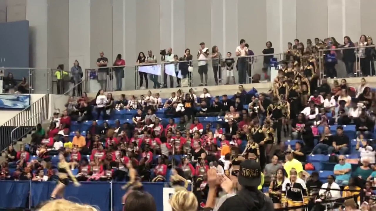 TGLC Top Gun Large Coed