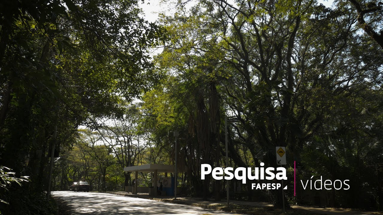 É possível monitorar todas as árvores de uma cidade?