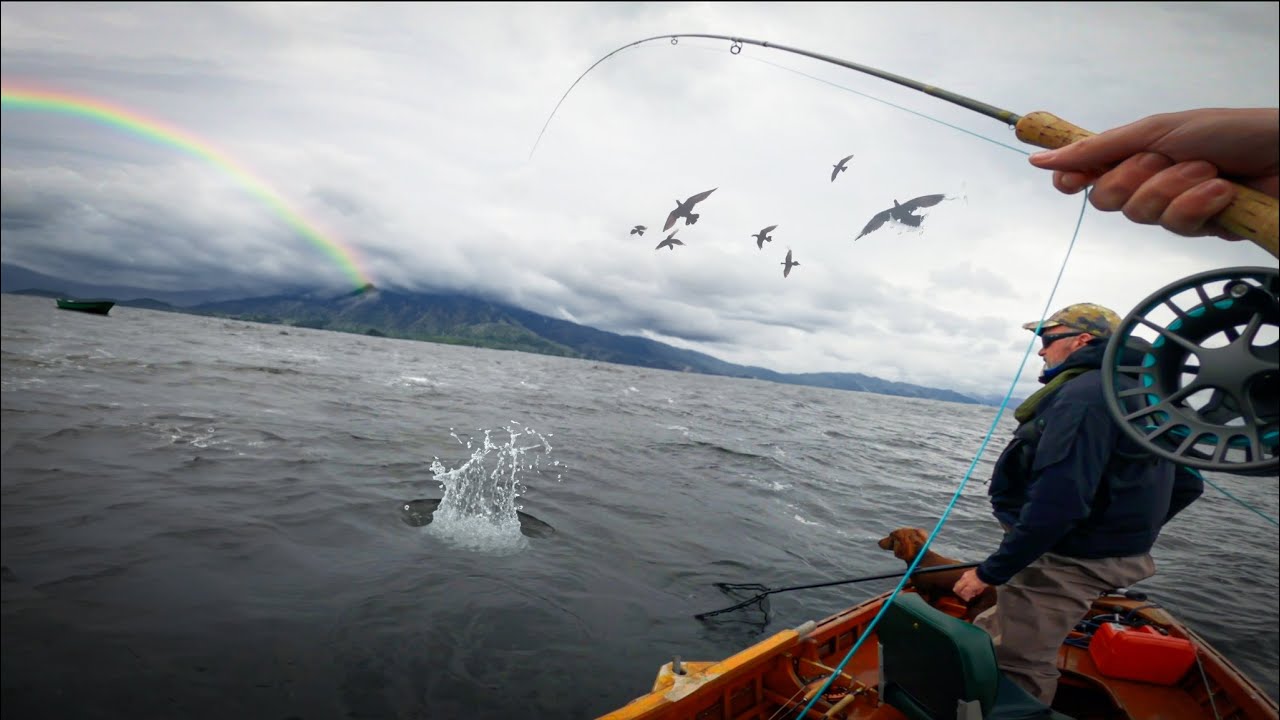 UNBELIEVABLE!! FLY FISHING For WILD BROWN TROUT on LOUGH CORRIB!!