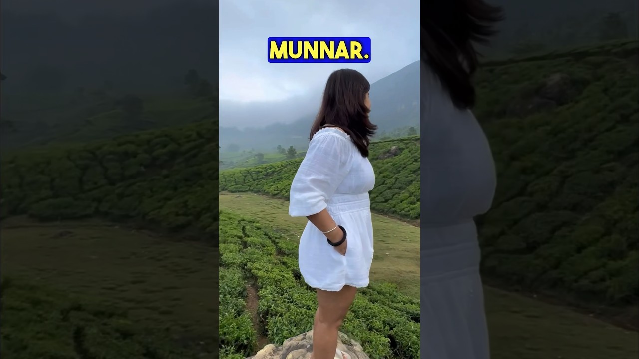 #Munnar Shorts - Top 5 places to visit in Munnar. Top 5 Munnar Tourist Places.  #munnartouristplaces