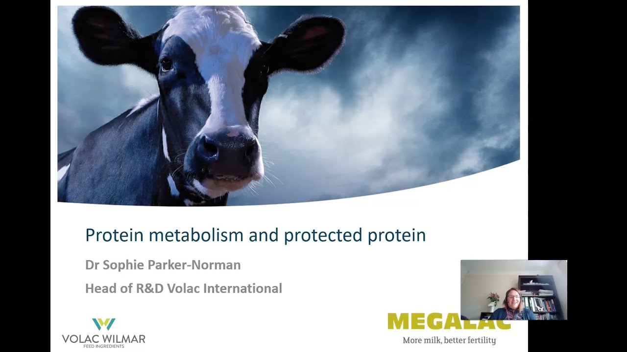 Protein Metabolism & Protected Protein Dr. Sophie Parker-Norman Wilmar Oleochemicals 2021 Herd Forum
