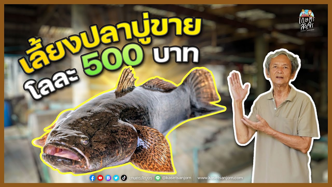 เปิดอาชีพเผยเทคนิค 