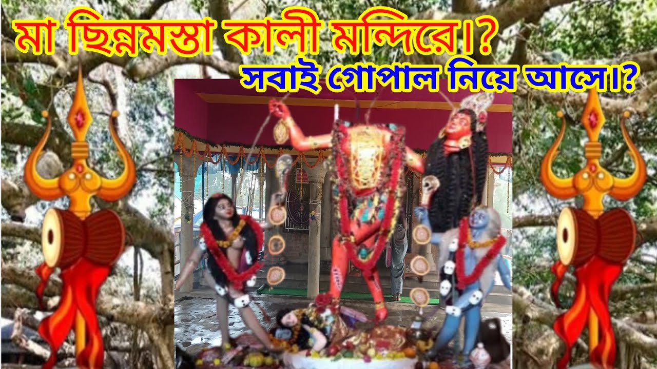 মা ছিন্নমস্তা কালী মন্দিরে সবাই গোপাল নিয়ে আসে।