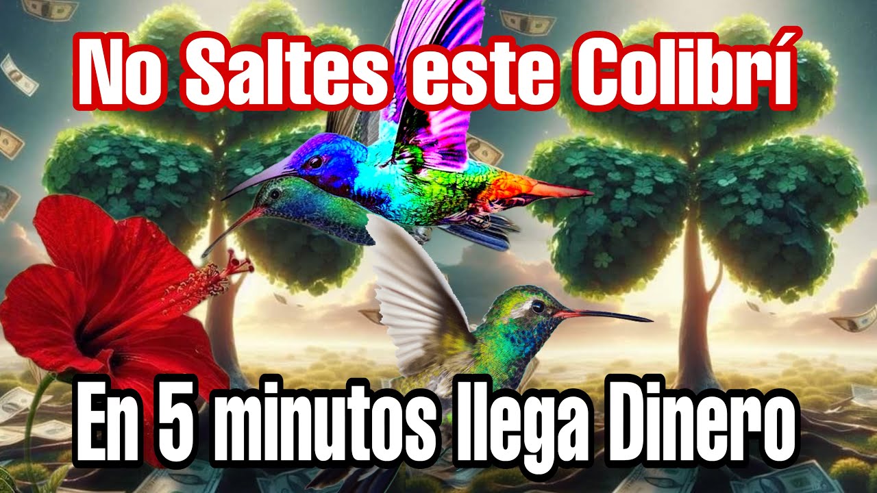 Frecuencia de Abundancia y prosperidad Colibri de la suerte  🤩 Ya Nada Ser&aacute; Igual Colibri Abundancia