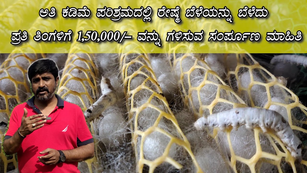 ರೇಷ್ಮೆ ಬೆಳೆಯ ಬಗ್ಗೆ ಸಂಪೂರ್ಣ ಮಾಹಿತಿ/RESHME BELE /  SULABAVAGI RESHME BELE BELEYUVA SAMPURNA MAHITHI
