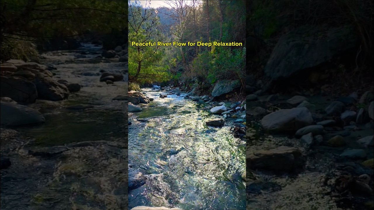 Calm Forest Stream Sounds | Relax & Focus | No Music, Just Nature #nature  #ambient #waterfall