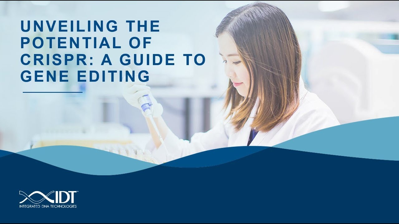 Unveiling the potential of CRISPR: A guide to gene editing