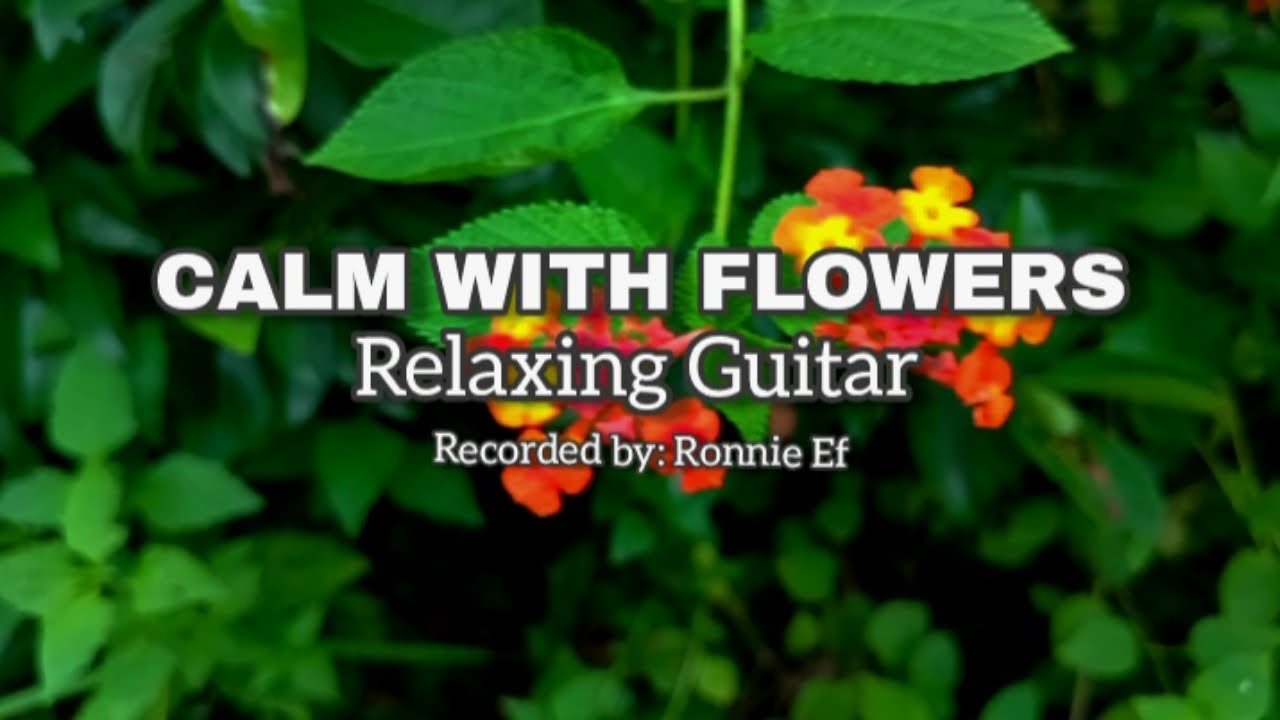 Relaxing Guitar Music, Flowers & Real Cricket Sounds &ndash; Peaceful Melody for Focus & Healing 🌼🦗🎶