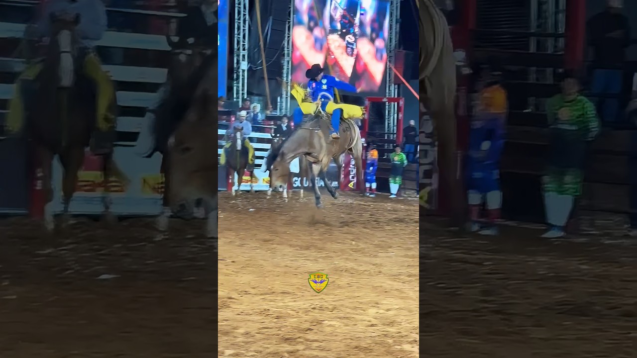 🔹Rodrigo Alberto dos Santos x Tijuca da Tropa Cia de Rodeio 2 Irmãos na - Santa Albertina 2025.