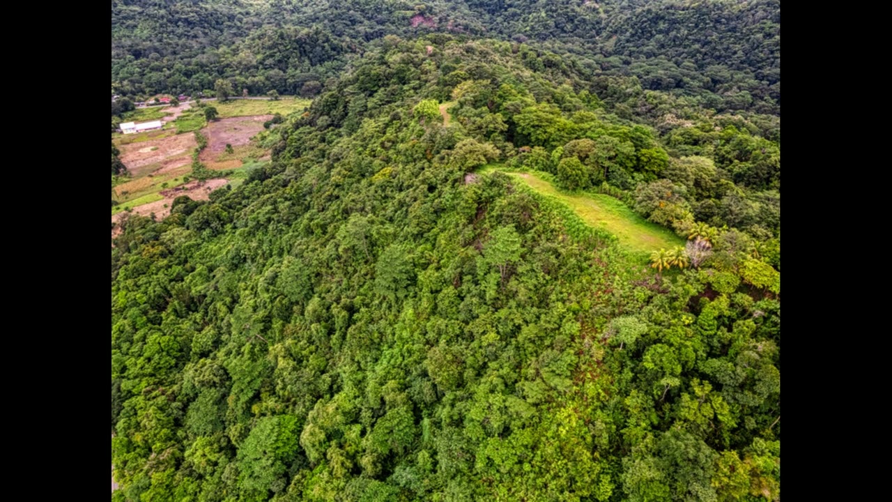 1.4 ACRES &ndash; Lot 4 Coronado Estates &ndash; Large Jungle Area, Privacy, And Ready To Build!!!