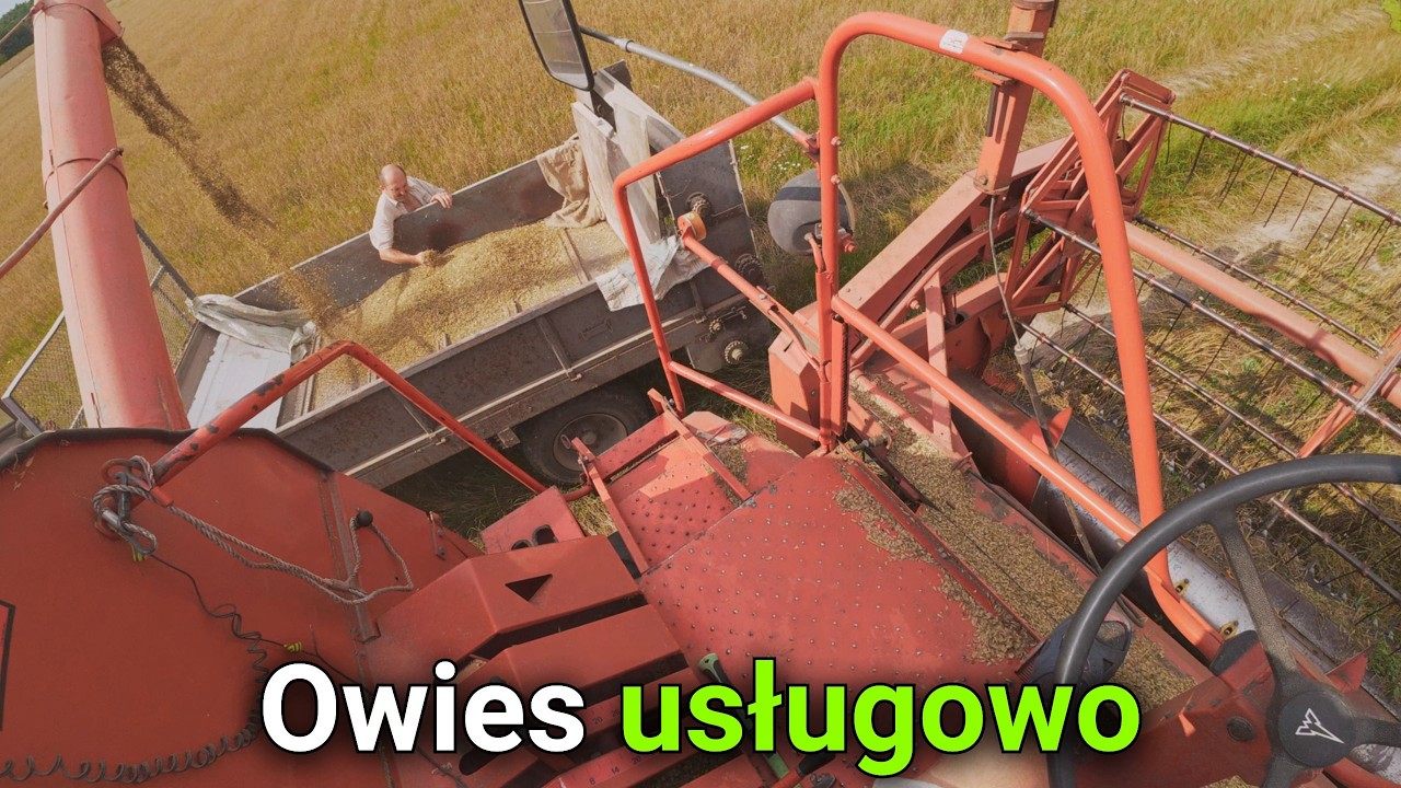 #146- Usługowo koszę owies