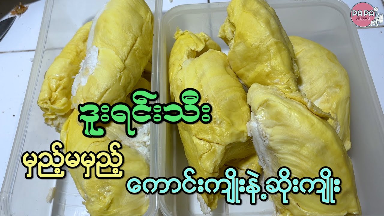 ဒူးရင်းသီး အကြောင်းသိကောင်းစရာ