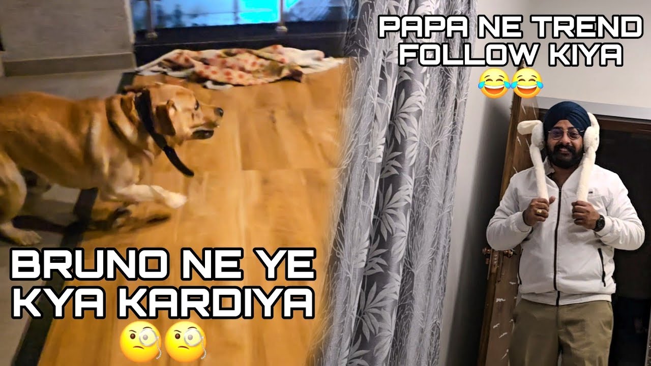 BRUNO NE YE KYA KARDIYA 🧐🧐!!PAPA NE KYA HAAL BNA LIYA APNA 🤣🤣!!
