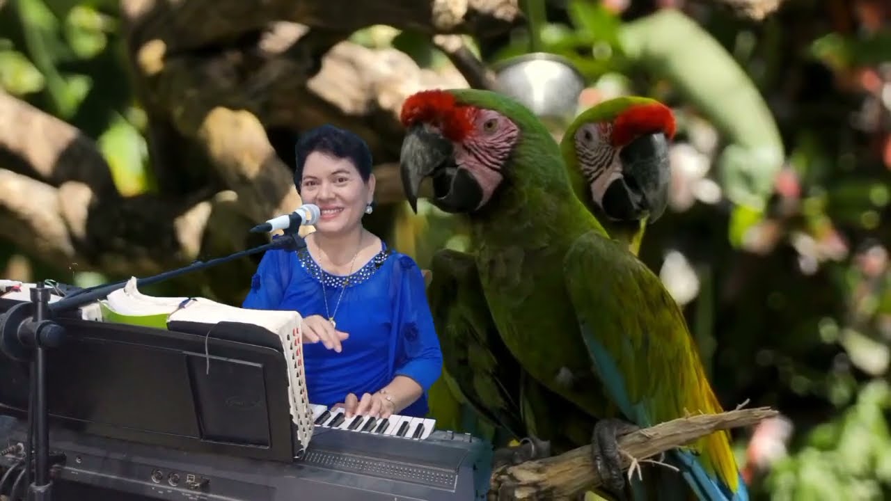 BE NO.777.UNANG SAI HOLSOAN HO Syair: His eye is on the sparrow,Mrs.CD.Martin Chas H Gabriel Lagu:NN