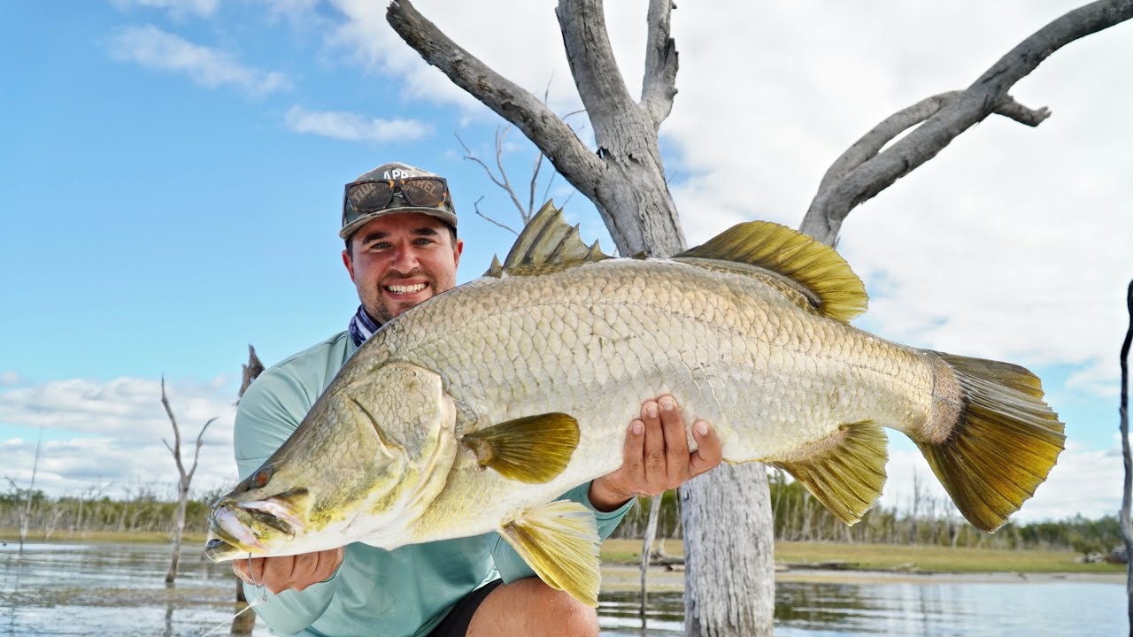 SIGHT CASTING Barramundi, doesn't get any better