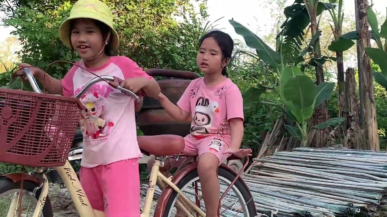 Nấm rơm