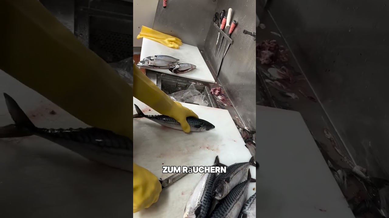 Makrelen Zubereitung