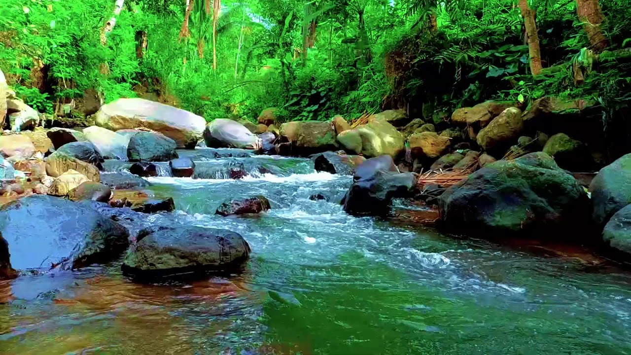 Deep Sleep Forest Ambience with Natural River Flow for Calm Rest and Stress Recovery