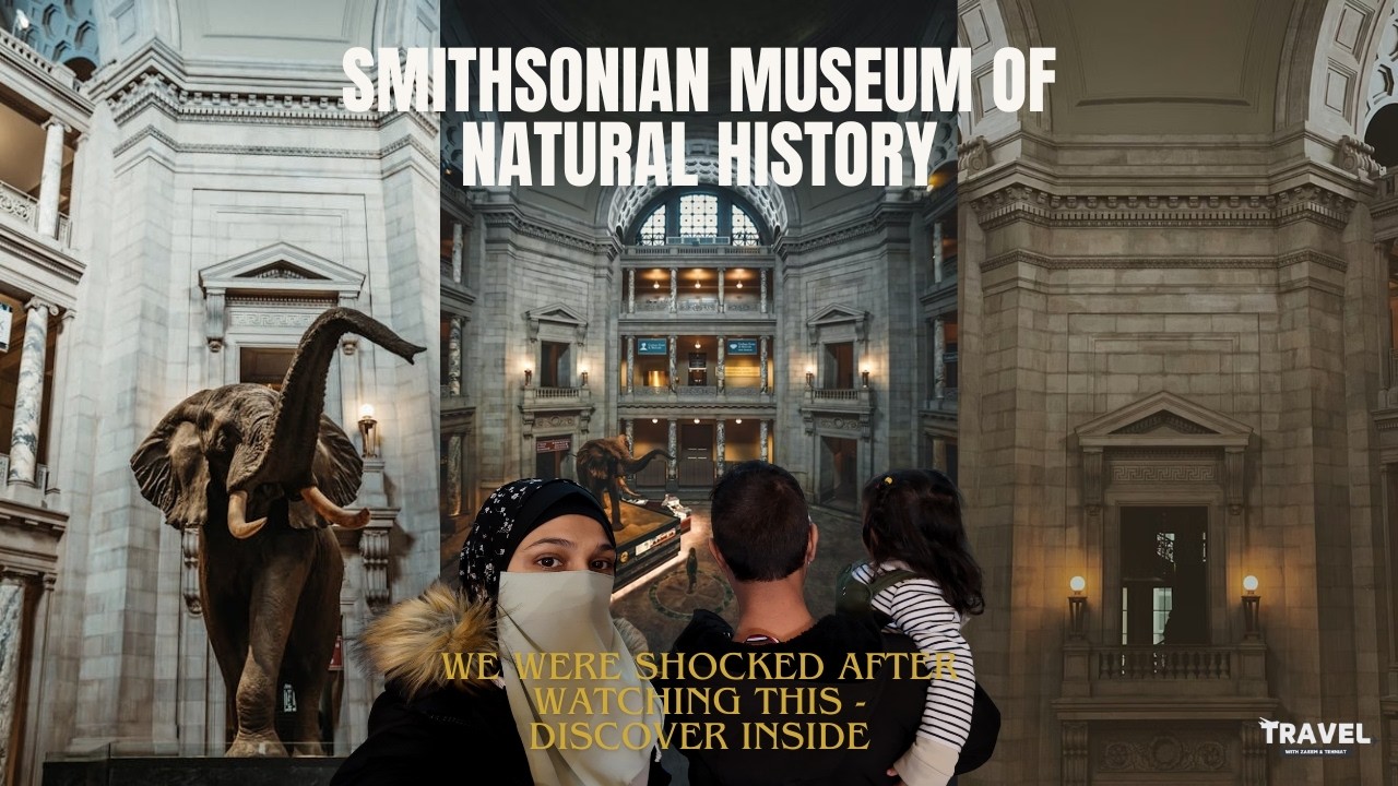 Smithsonian National Museum of Natural History Tour | Washington, D.C. 🦕 | Travel Vlog USA