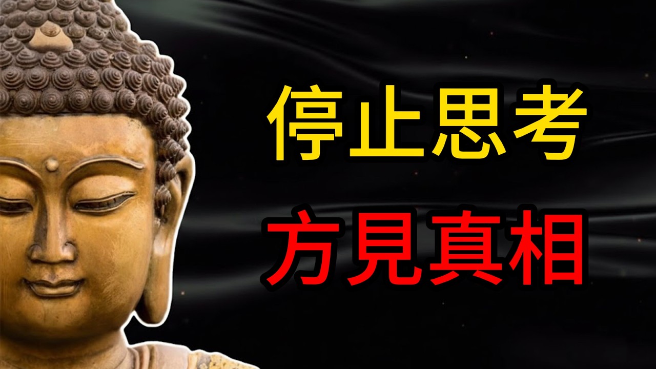 思考是真相的敵人！揭秘禪宗的核心智慧：停止腦內內耗，徹底顛覆你的修行觀。 #禪宗 #修行 #心靈覺醒 #無念 #智慧 #真相 #內在平靜 #覺悟 #人生哲理
