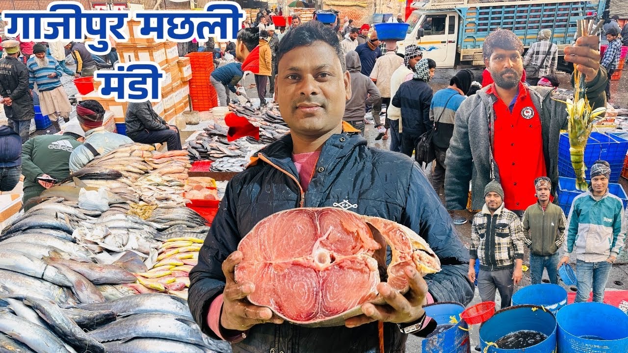 Ghazipur fish market rate today|ghazipur mandi fish market |ghazipur machli mandi|गाजीपुर मछली मंडी॥