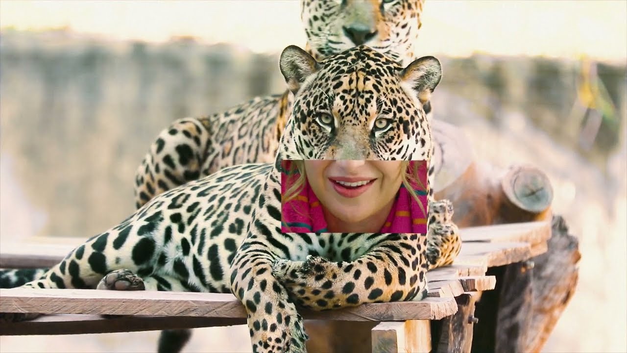 L'&eacute;t&eacute; au Zoo de Granby - J'veux pas avoir de spots!