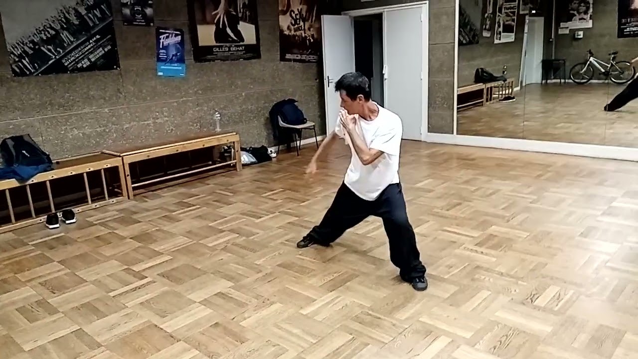Zang emei she Quan Tao pu, taolu kung fu serpent snake fist.