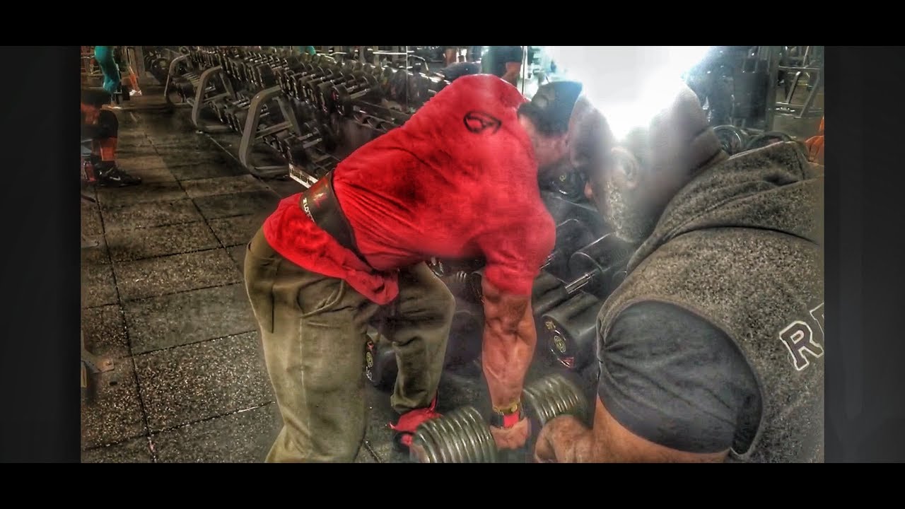 STANIMAL x SHAWN RHODEN : DOS et BICEPS PSYCHO Style