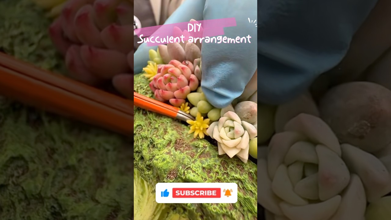 DIY Succulent arrangement #succulent #succulentlover