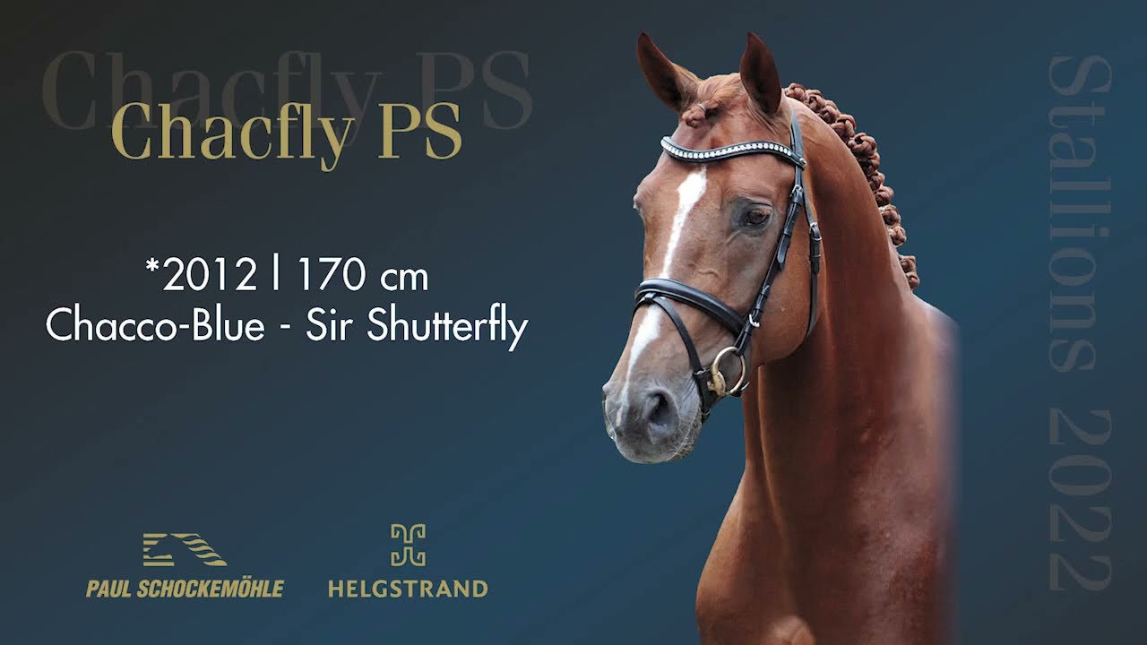 Chacfly PS - Jumping Collection Schockemoehle & Helgstrand 2022 (ENG)