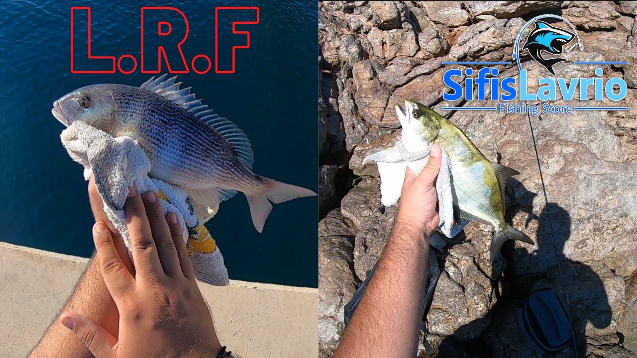 L.R.F -  Η ΑΡΧΗ