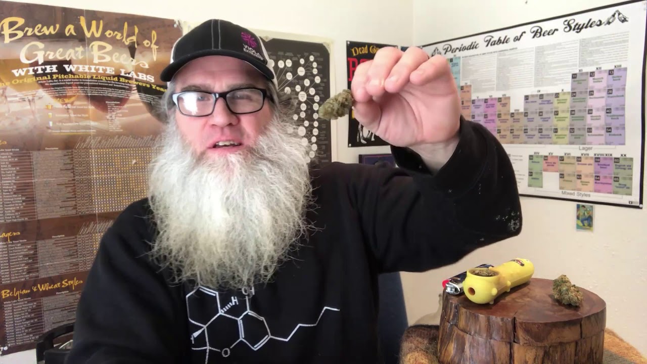 It's Weed Time With The Beer Man!  Black D.O.G. - Indica Hybrid - Cannabis Review