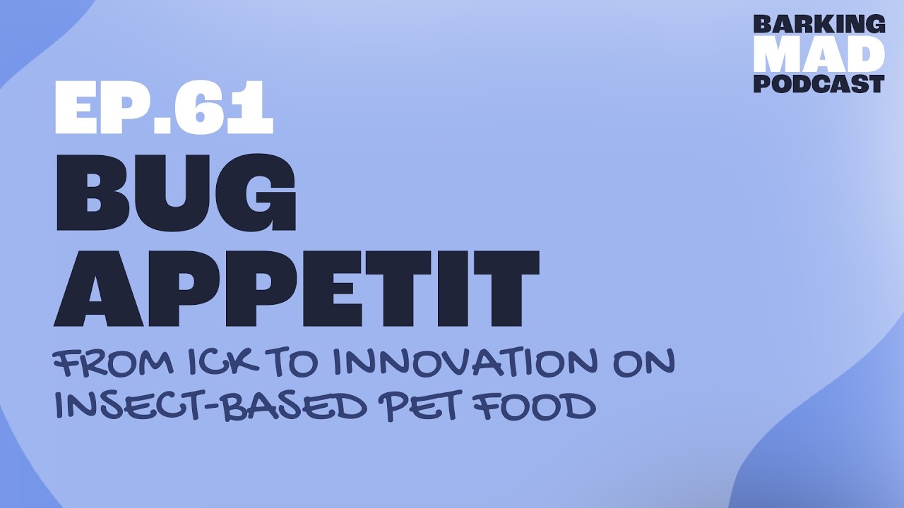 Bug Appétit: From Ick to Innovation on Insect-Based Pet Food