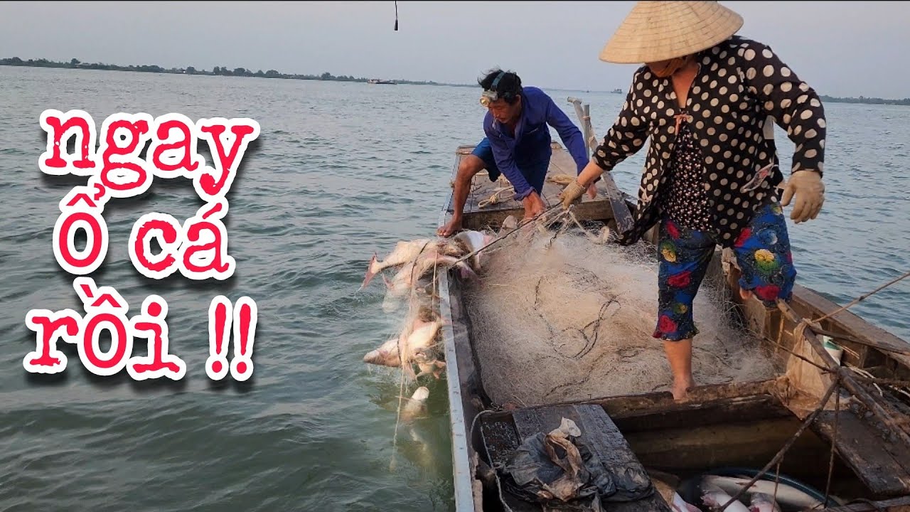 Bắt Bầy Cá Lớn Nhất Trước Ngày 30-4-2023 | #66TV #fishing