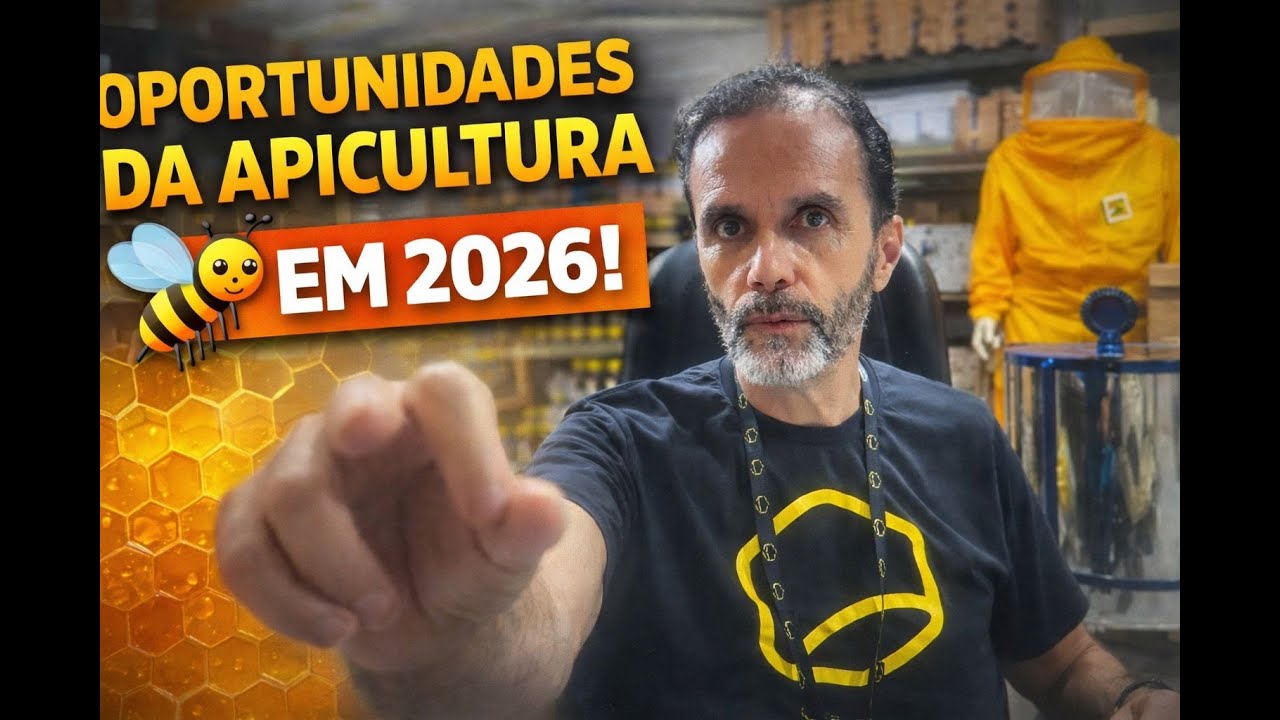 APICULTURA NÃO É HOBBY: É NEGÓCIO (Se você souber onde entrar)