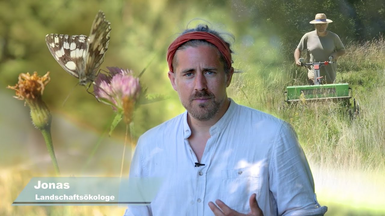 Wiederherstellung von artenreichen Blumenwiesen