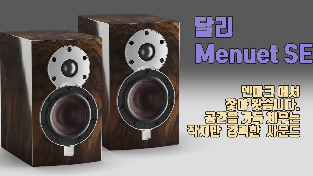 ENG) 잘 아시죠? 덴마크에서 찿아왔습니다! 작지만 강하다는것이 어떤건지 보여주는 달리 Menuet SE 북셀프 스피커!