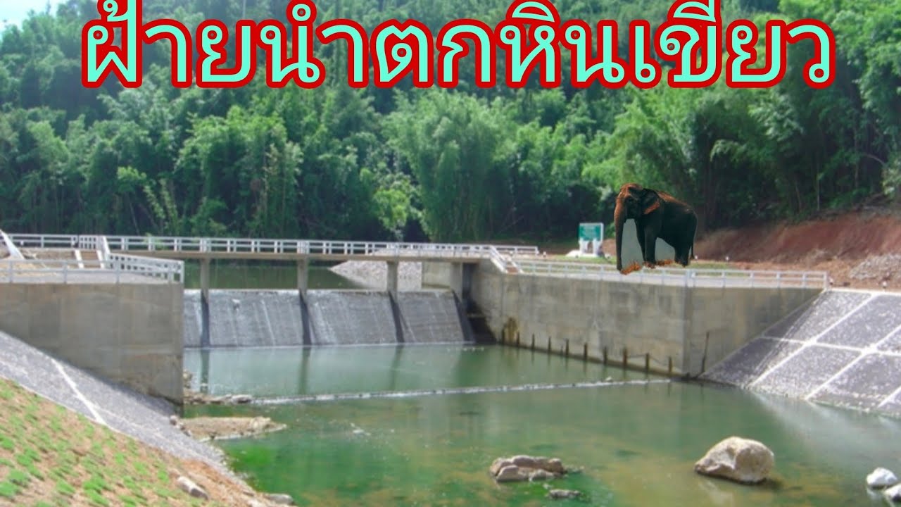 มาดามช้างที่ฝ่ายน้ำตกหินเขียว