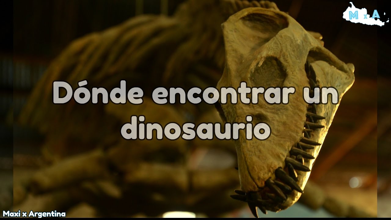 Lamarque, R&iacute;o Negro | Dinosaurios y el Argentino m&aacute;s alto!