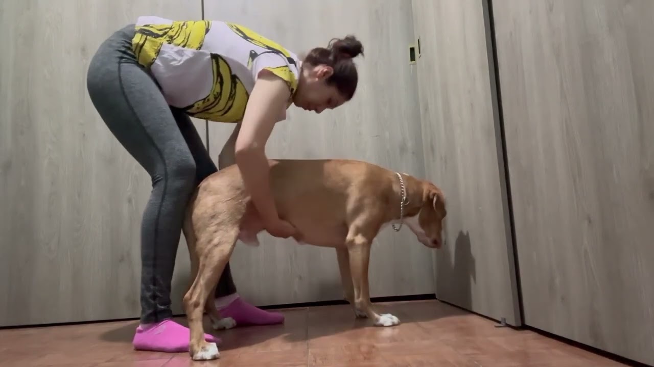 Maniobra de Heimlich en perros