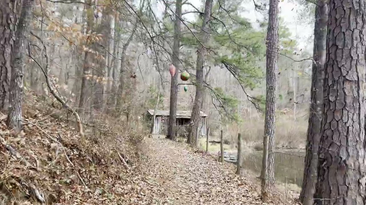Simple Walk with Rusty (7)